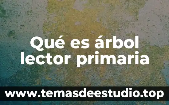 ¿Qué es un árbol en teoría de grafos? 6 Qué es árbol lector primaria