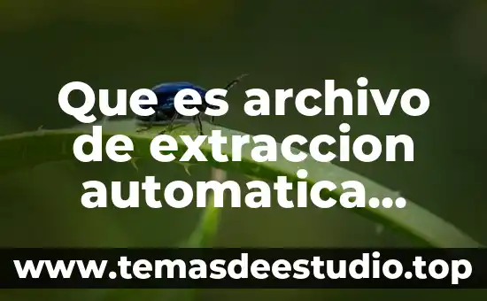 Que es archivo de extraccion automatica yahoo