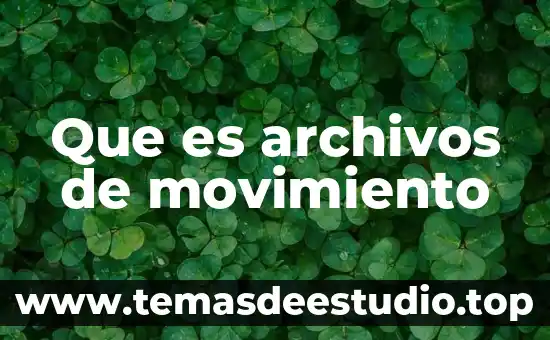 Que es archivos de movimiento
