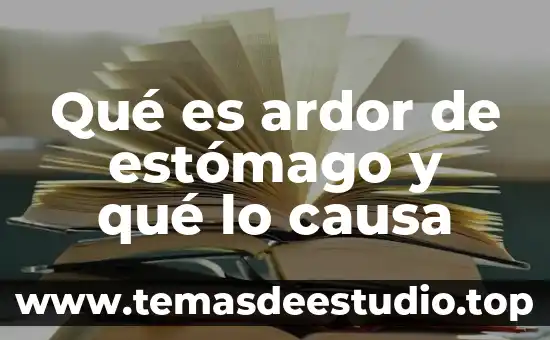 Para que es el acido clorhidrico del estomago 3 Qué es ardor de estómago y qué lo causa