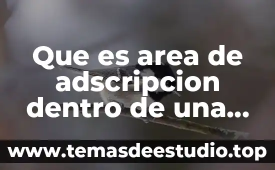 Que es area de adscripcion dentro de una escuela