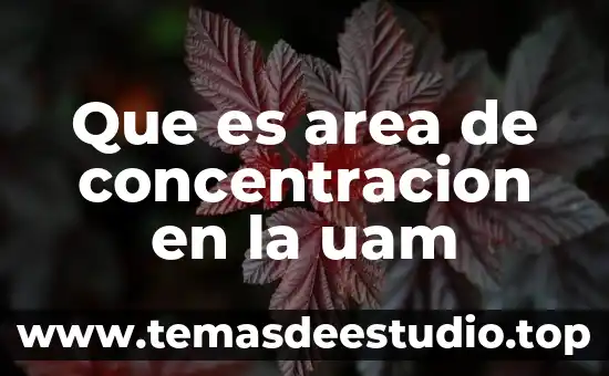 Que es la concentración psicologia 3 Que es area de concentracion en la uam