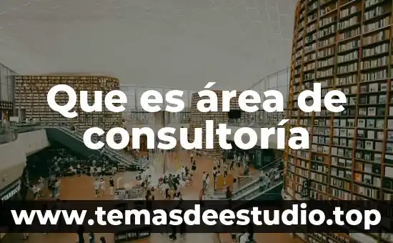 Que es area gustativa 3 Que es área de consultoría