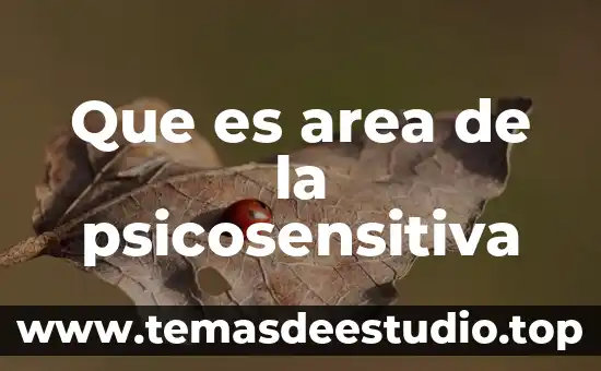 Que es area gustativa 6 Que es area de la psicosensitiva