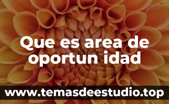 Que es un ruta area 8 Que es area de oportun idad