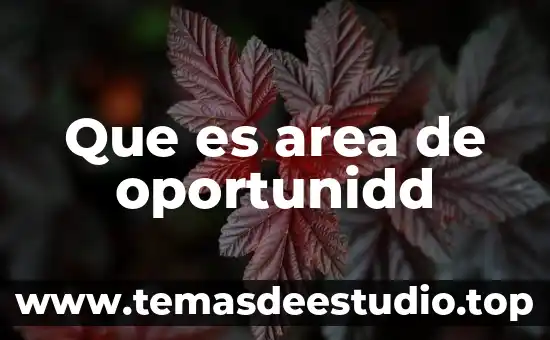 Que es area gustativa 4 Que es area de oportunidd