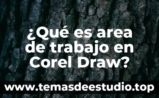 ¿Qué es area de trabajo en Corel Draw?