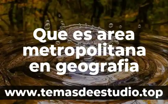 Que es area metropolitana en geografia