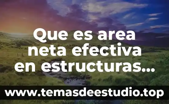 Que es un ruta area 6 Que es area neta efectiva en estructuras metalicas