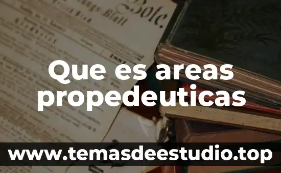 Que es indagar significado 3 Que es areas propedeuticas