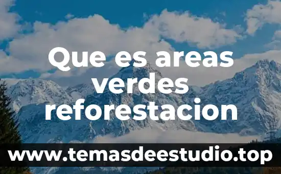 Para que es bueno los jugos verdes 5 Que es areas verdes reforestacion