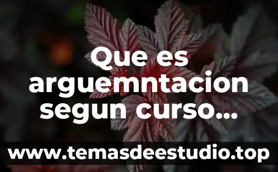 Que es el paradigma curso de la vida 4 Que es arguemntacion segun curso hero