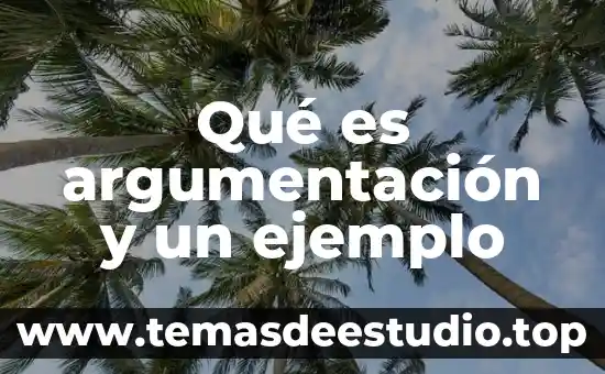 Qué es un concepto de argumentación 4 Qué es argumentación y un ejemplo