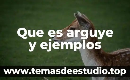 Que es arguye y ejemplos