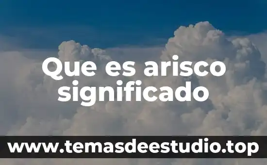 Qué es el significado brunner 3 Que es arisco significado