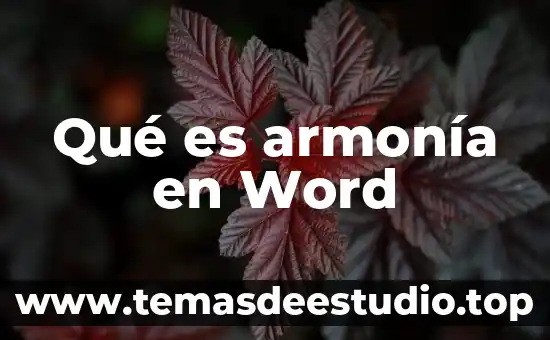 Qué es armonía en la sociedad 3 Qué es armonía en Word
