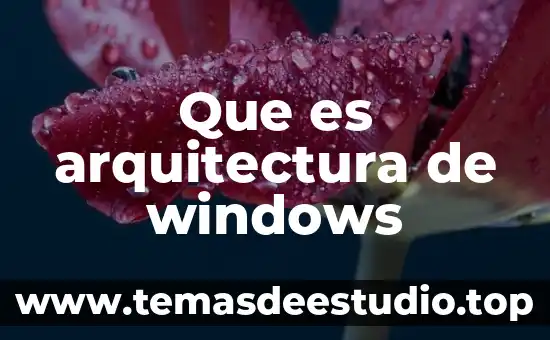 ¿Qué es mejor iMac o Windows? 8 Que es arquitectura de windows