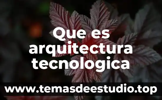 Que es el registro de los usuario en la red 8 Que es arquitectura tecnologica