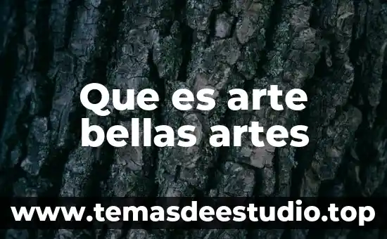 Qué es danza en bellas artes 4 Que es arte bellas artes