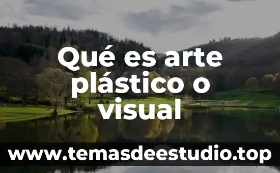 Motricidad visual niños que es 7 Qué es arte plástico o visual