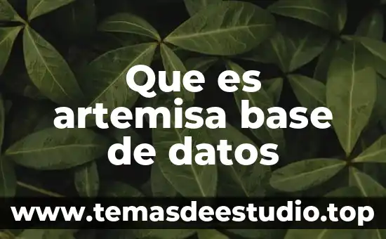 Base metil que es 4 Que es artemisa base de datos