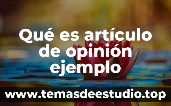 ¿Qué es la opinión pública de Alcohólicos Anónimos? 4 Qué es artículo de opinión ejemplo