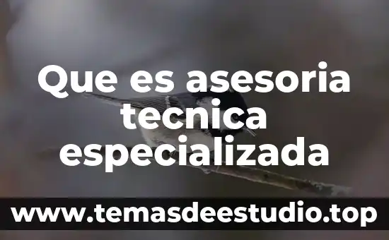 Que es asesoria tecnica especializada