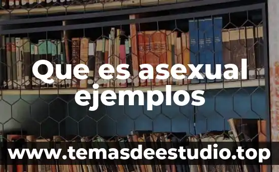 Que es reino animal asexual 6 Que es asexual ejemplos