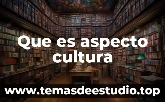 Que es aspecto cultura