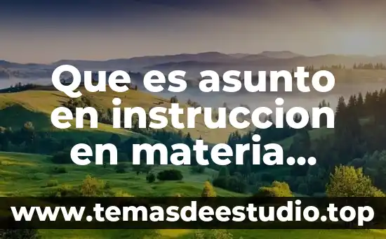 Que es un mecanismo judicial 5 Que es asunto en instruccion en materia judicial