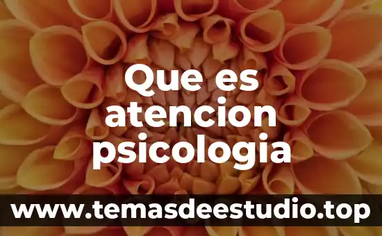 Que es un punto de atencion 6 Que es atencion psicologia