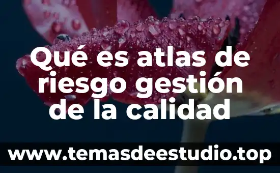 Que es la historia rincon del vago 5 Qué es atlas de riesgo gestión de la calidad