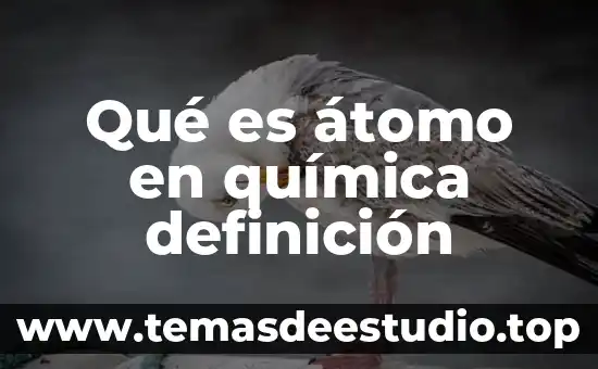 Que es cadena en quimica 7 Qué es átomo en química definición