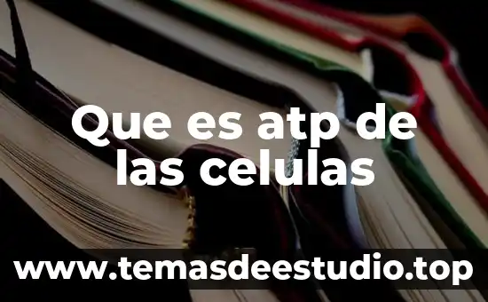 Qué es mieloma de células plasmáticas 7 Que es atp de las celulas