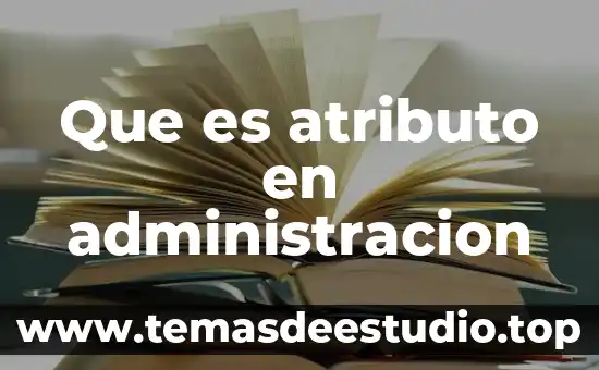 Que es atributo en administracion