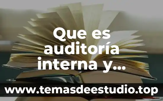 Que es auditoría interna y externa