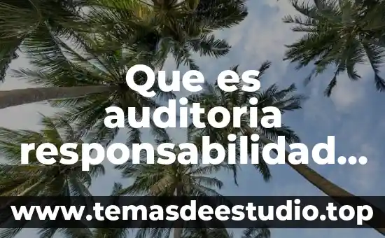 Que es la sociedad de responsabilidad ilimitada 4 Que es auditoria responsabilidad social