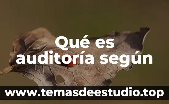 Qué es auditoría según