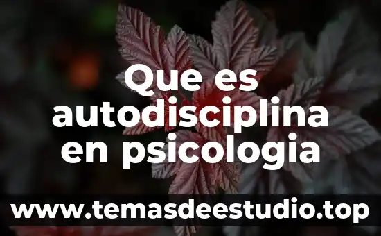 Que es el anagrama psicologia 6 Que es autodisciplina en psicologia