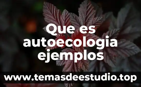 Qué es la lógica epistémica ejemplos 8 Que es autoecologia ejemplos