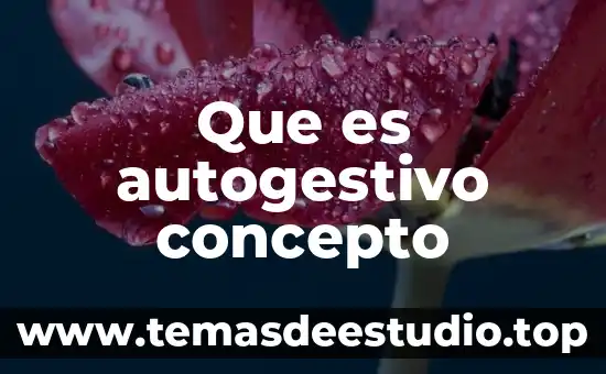Qué es la energía concepto para niños 8 Que es autogestivo concepto
