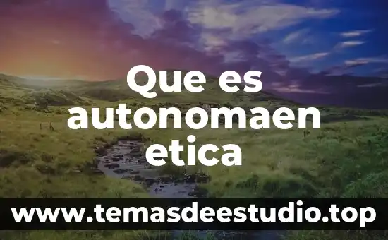 Que es autonomaen etica