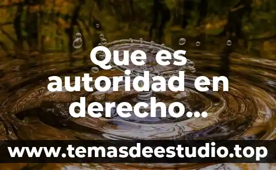 Que es autoridad en derecho administrativo