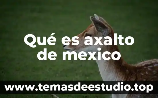 Qué es axalto de mexico