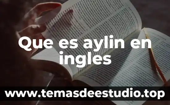 Que es brunch more en ingles 7 Que es aylin en ingles