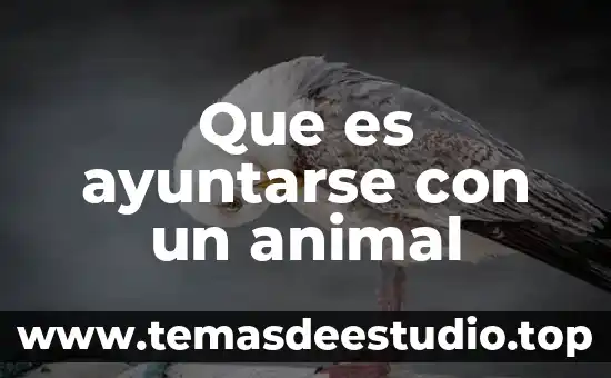 Que es dioxigeno en agua 7 Que es ayuntarse con un animal