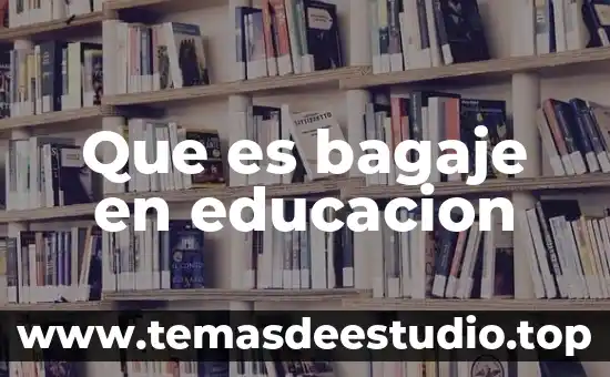 Que es bagaje en educacion