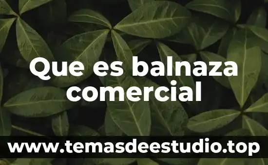 Que es el nombre comercial de una empresa ejemplos 5 Que es balnaza comercial