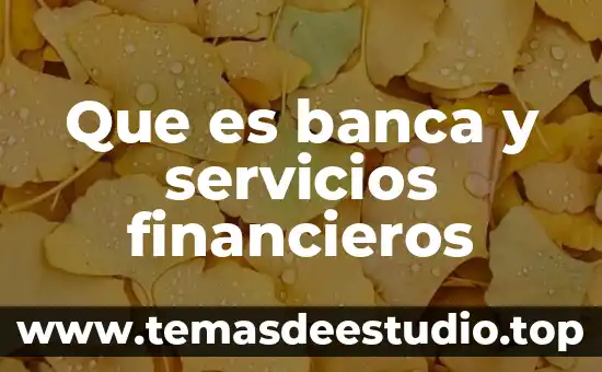 Qué es un documento de consumo de servicios 3 Que es banca y servicios financieros