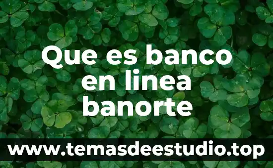 Qué es el banco de alimentos y cómo funciona 6 Que es banco en linea banorte
